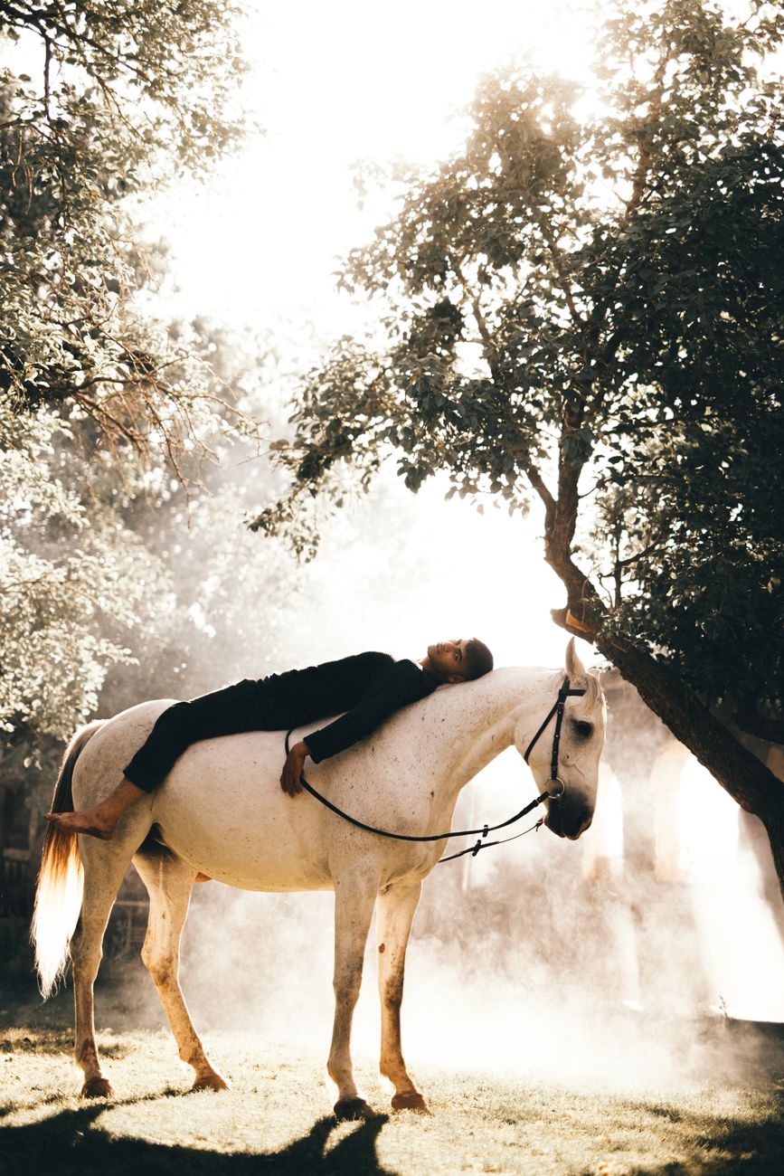 The Shaman and the Stallion